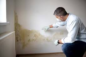 Mold Documentation for Insurance Claims in Cooperstown, NY